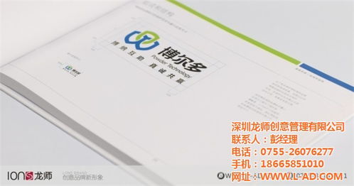 深圳vi设计 龙师创意 公司vi设计